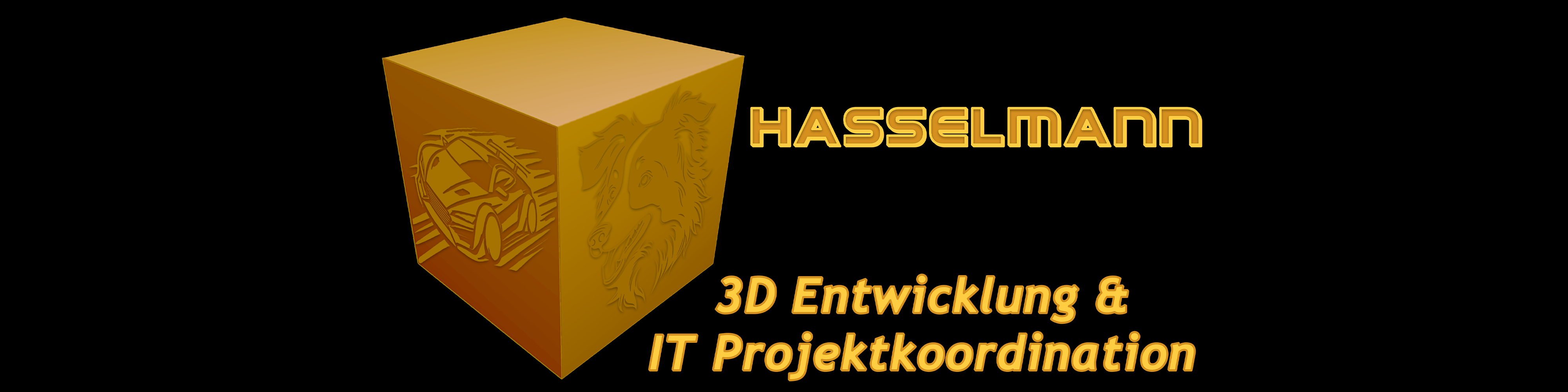 Hasselmann 3D Entwicklung